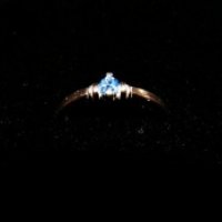 avatar icon